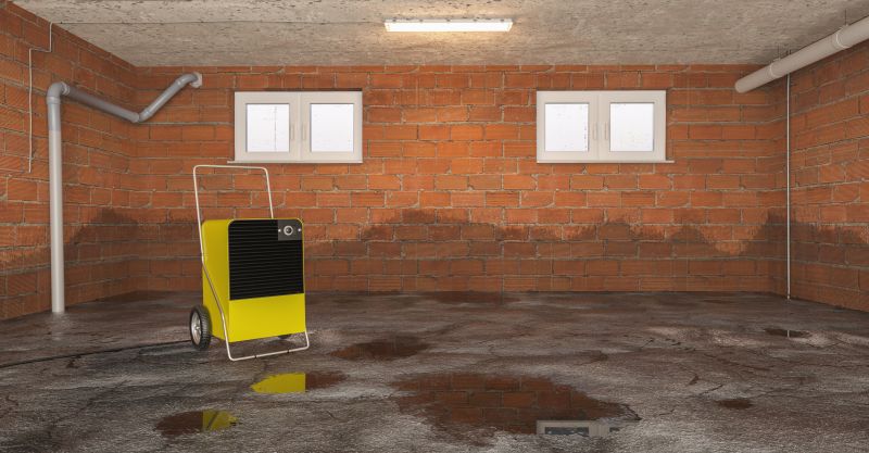 Basement Water Removal in Phoenix, AZ